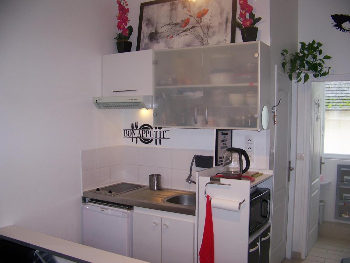 Charmant Studio Au Calme Tout Confort Dans Chateau Neo Gothique Proche Zenith Comet Orleans Parking Voiture Gratuit Wifi Haut Debit Rue Des Montees Εξωτερικό φωτογραφία