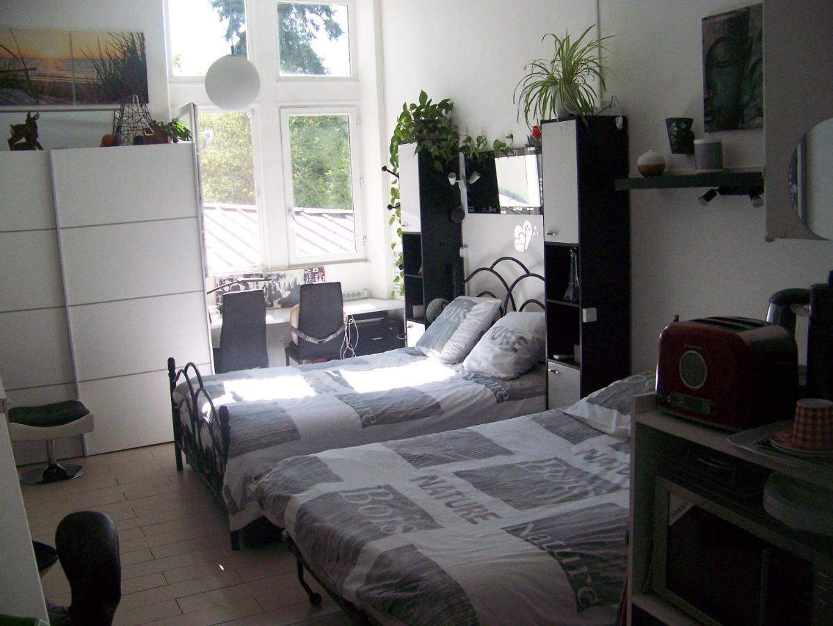 Charmant Studio Au Calme Tout Confort Dans Chateau Neo Gothique Proche Zenith Comet Orleans Parking Voiture Gratuit Wifi Haut Debit Rue Des Montees Εξωτερικό φωτογραφία