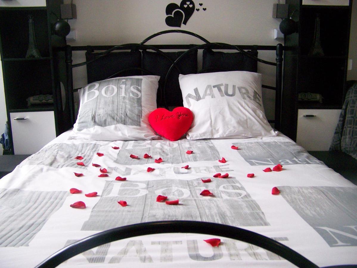 Charmant Studio Au Calme Tout Confort Dans Chateau Neo Gothique Proche Zenith Comet Orleans Parking Voiture Gratuit Wifi Haut Debit Rue Des Montees Εξωτερικό φωτογραφία